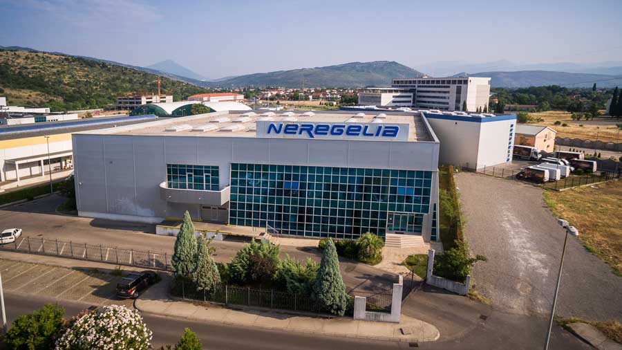 Neregelia