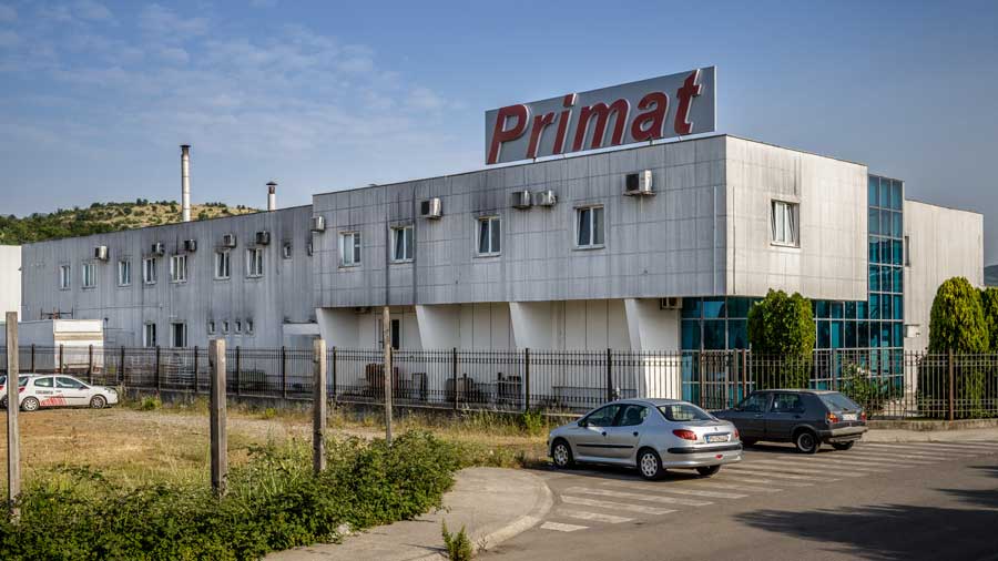 Primat